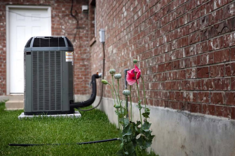 A flower is blooming in a back yard, in the background is an outdoor air conditioning unit.